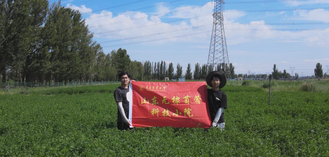 �y�ֹ����Gɫ���룬���u�r���о���������˹���،��`�������B(t��i)�������O