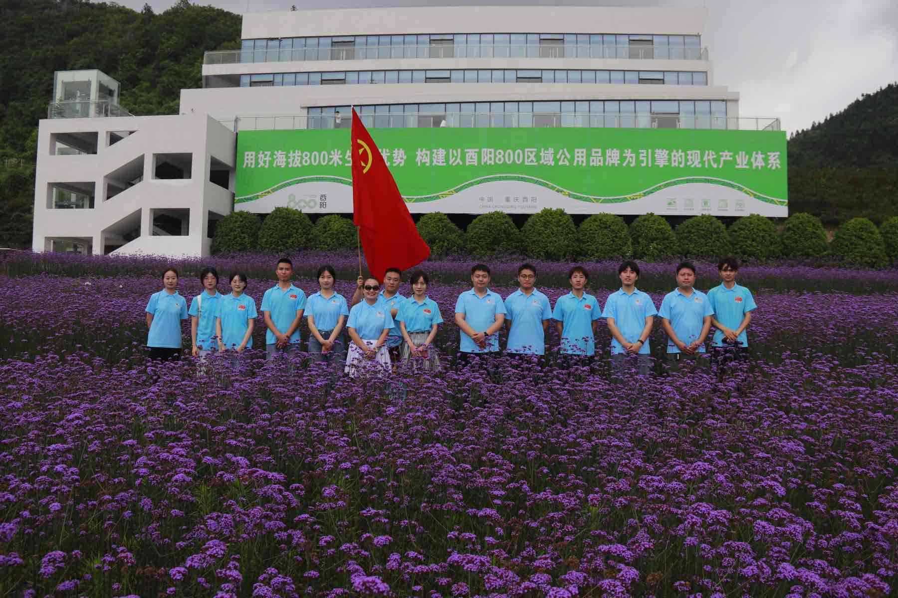 ����F(tu��n)�Y(ji��)�������l(xi��ng)�����l(xi��ng)�����dչ���